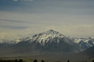 DSC_6609 (Large).JPG